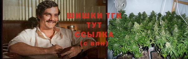 дживик Белоозёрский