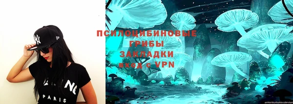 эйфоретик Белокуриха